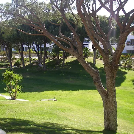 Sunny Garden *