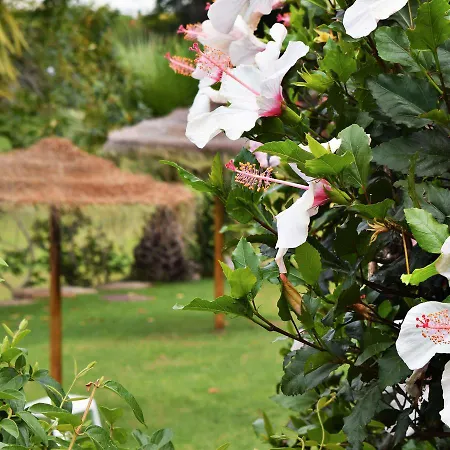 Sunny Garden Appartamento Almancil