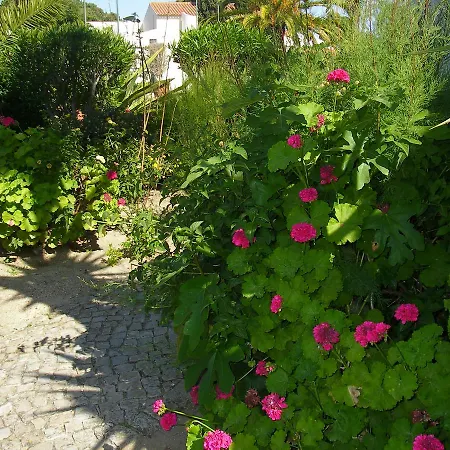 Appartamento Sunny Garden *