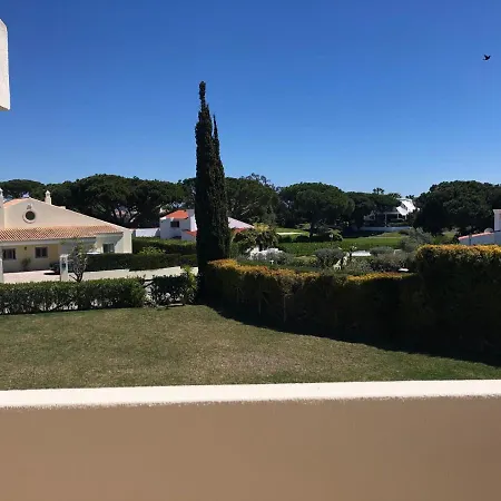 Sunny Garden